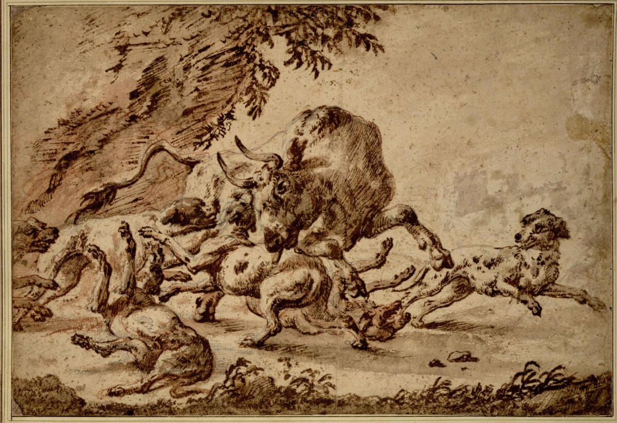 Philipp Peter Roos, Von Hunden gehetzter Stier, Inv. Nr.: 3777