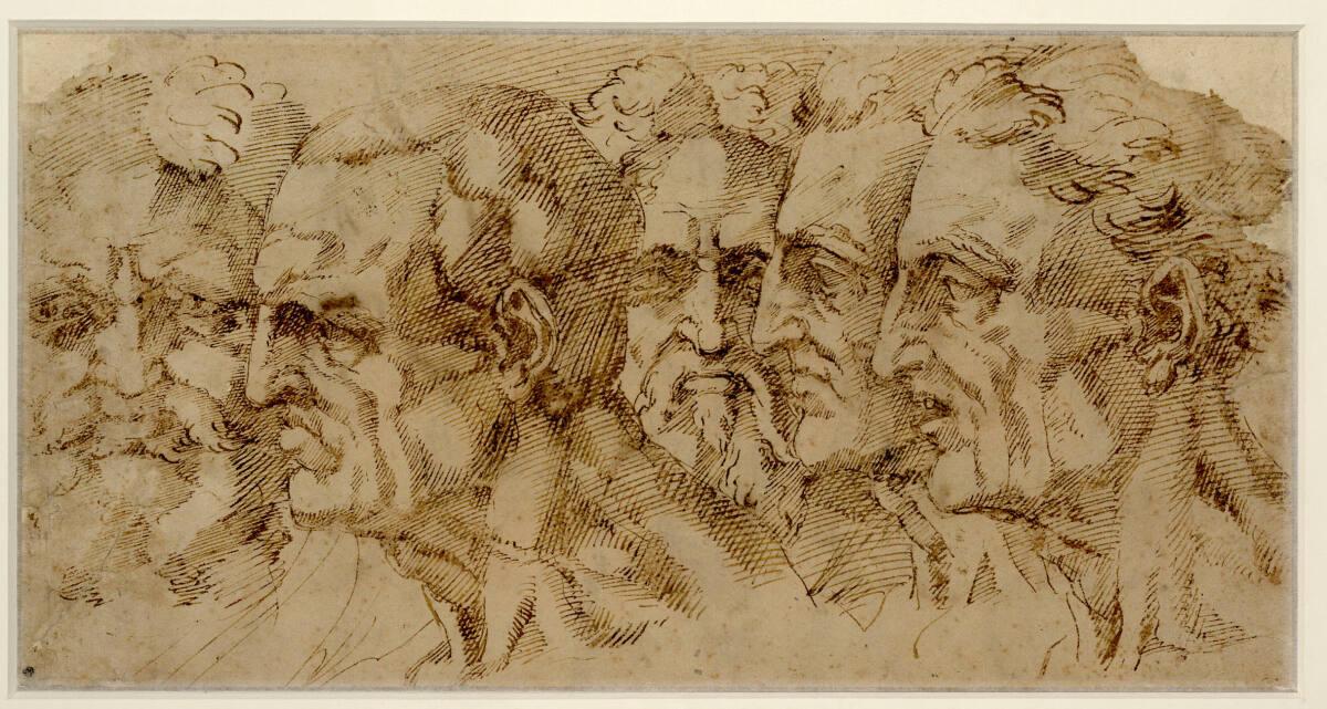 Baccio Bandinelli, Fünf männliche Kopfstudien, Inv. Nr.: 301r