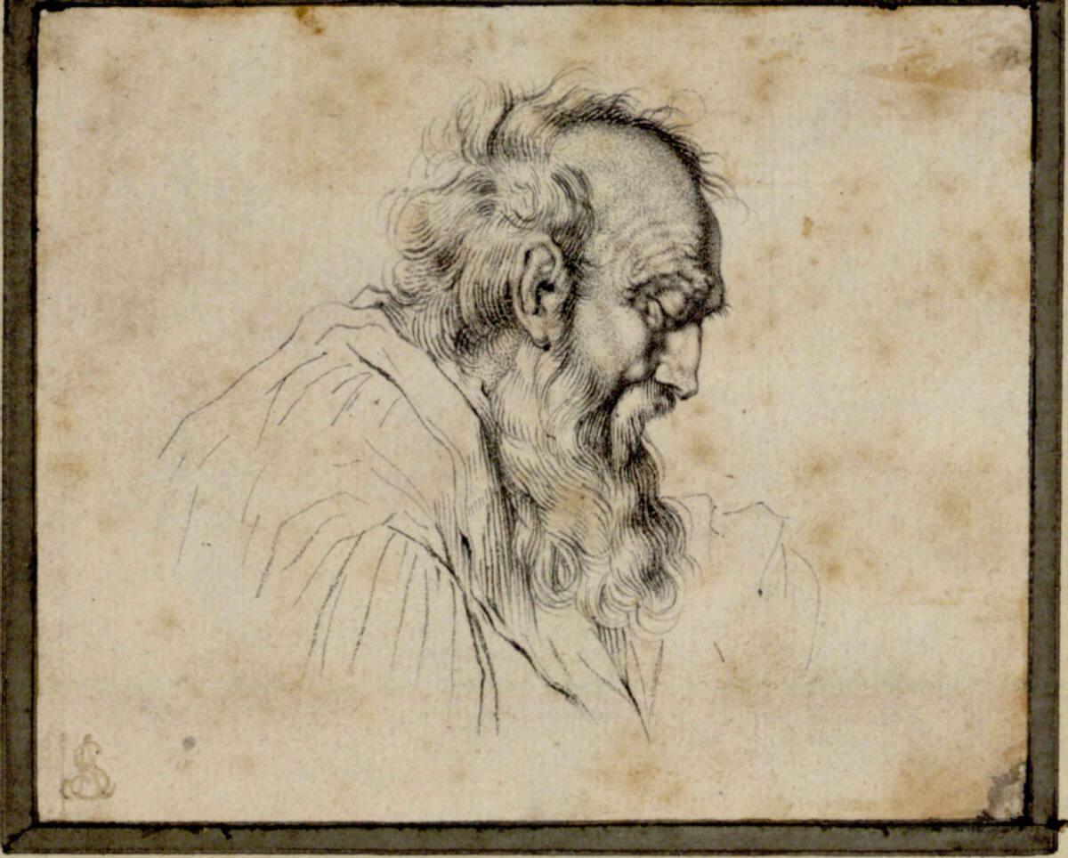 Ismael Israel Mengs, Greisenkopf, Inv. Nr.: 3855