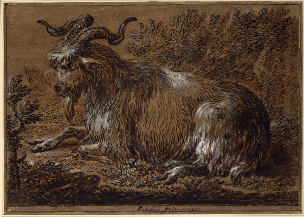 Liegender Ziegenbock, Inv. Nr.: 3880