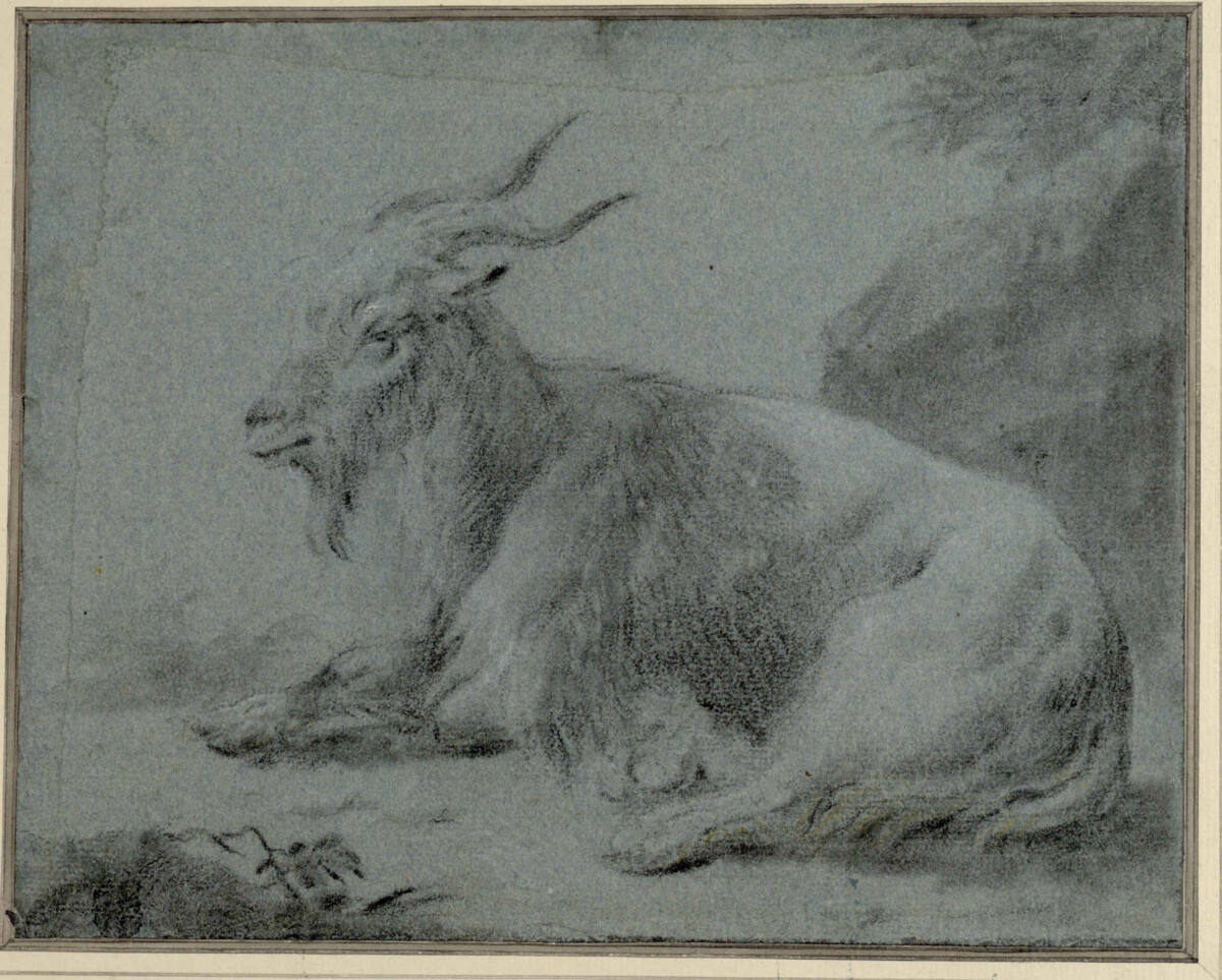 Liegener Ziegenbock, JakobRoos