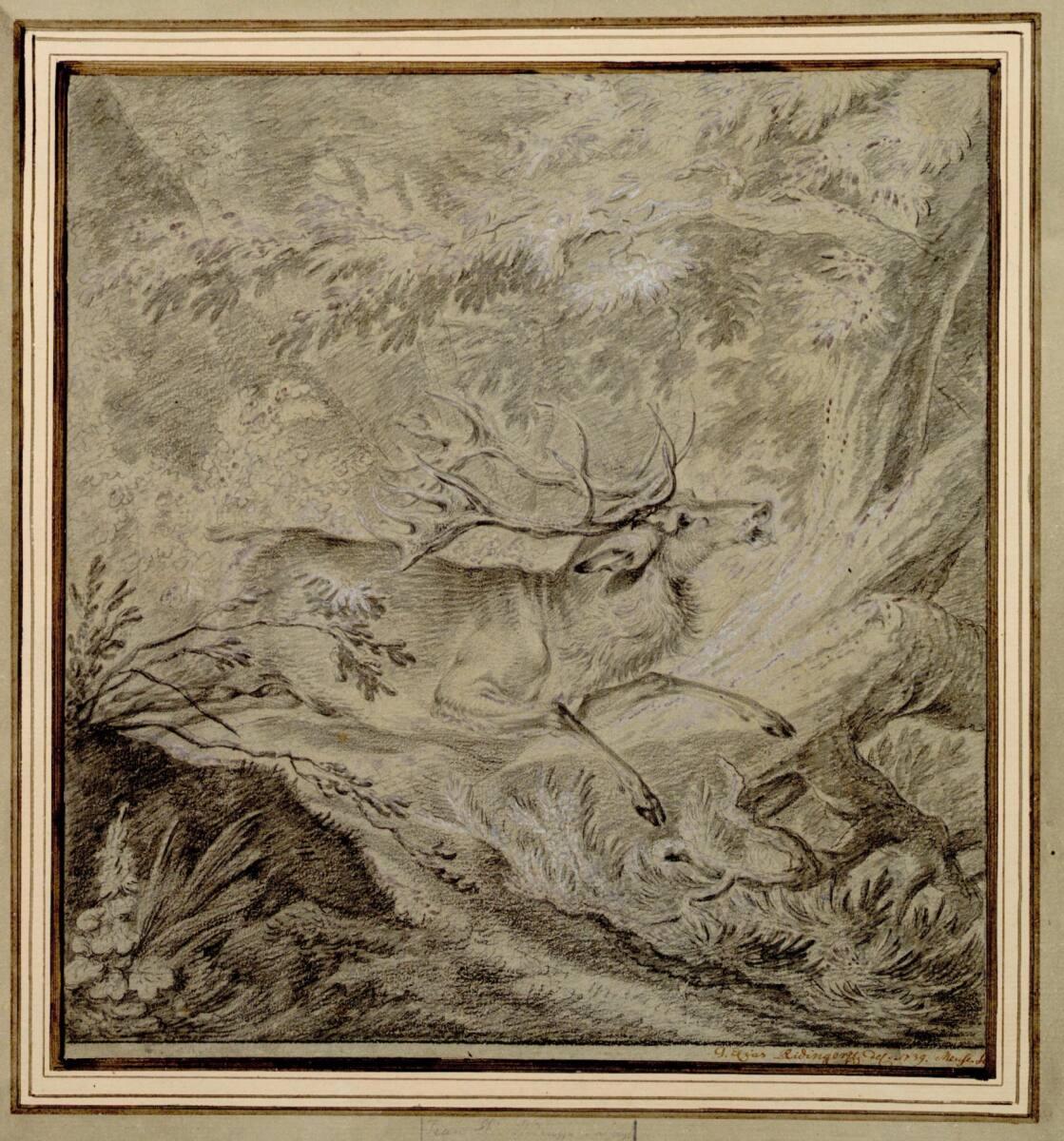 Johann Elias Ridinger, Anno 1675 ist dieser Edle Hirsch dessen Geweihte 58. Ende gezeiget - gep…