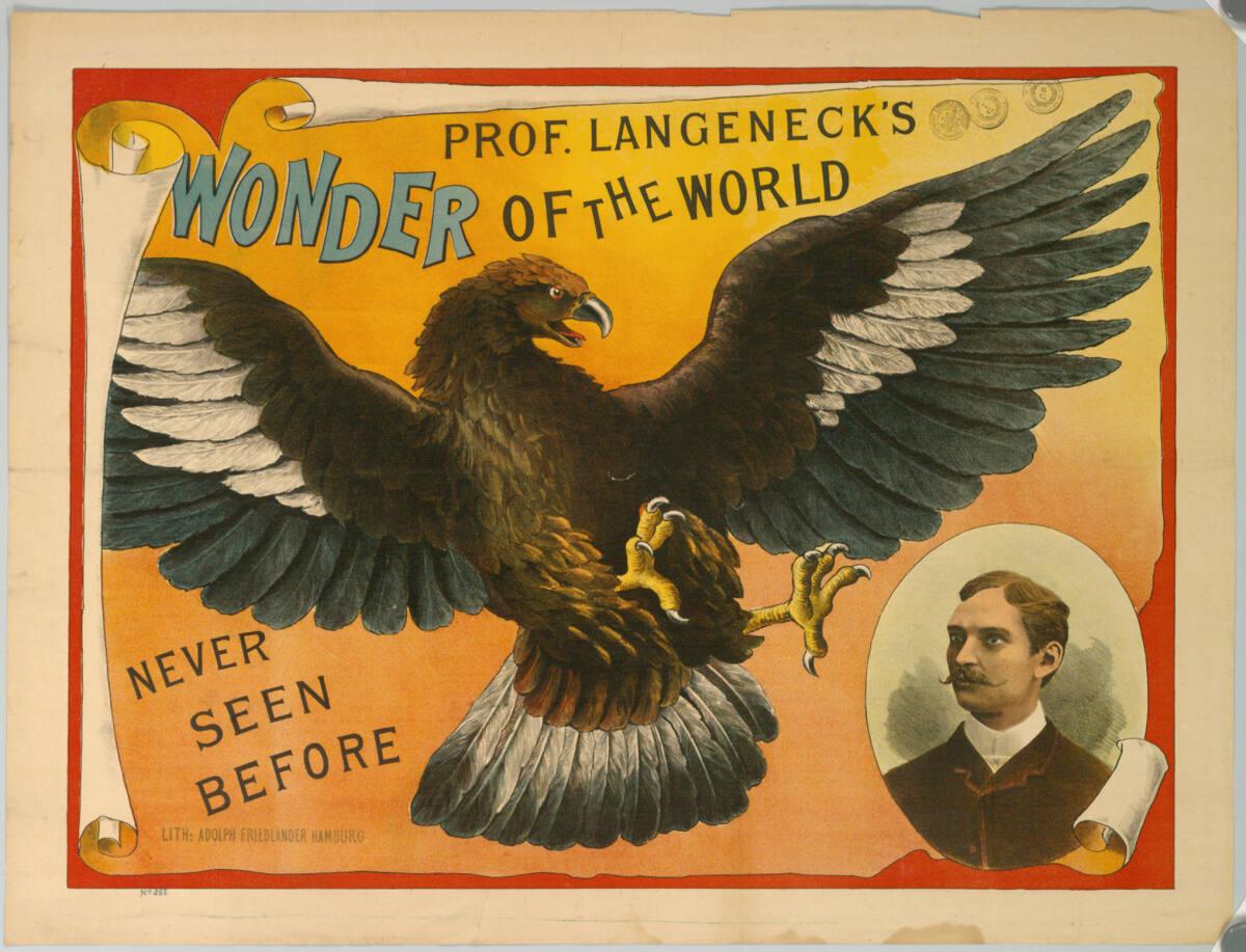 Anonym, PROF. LANGENECK'S WONDER OF THE WORLD, Inv. Nr.: DG2003/2492