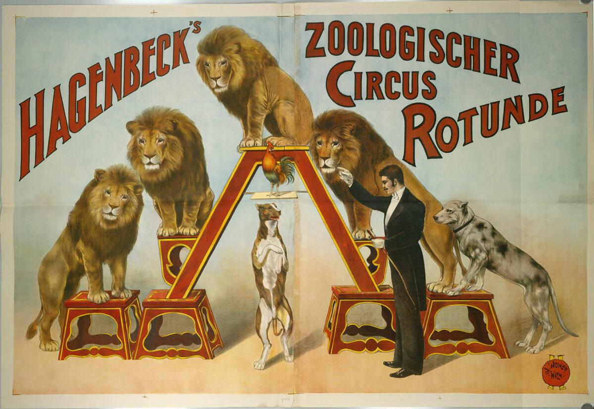 Anonym, HAGENBECK'S ZOOLOGISCHER CIRCUS; ROTUNDE, Inv. Nr.: DGNF5456