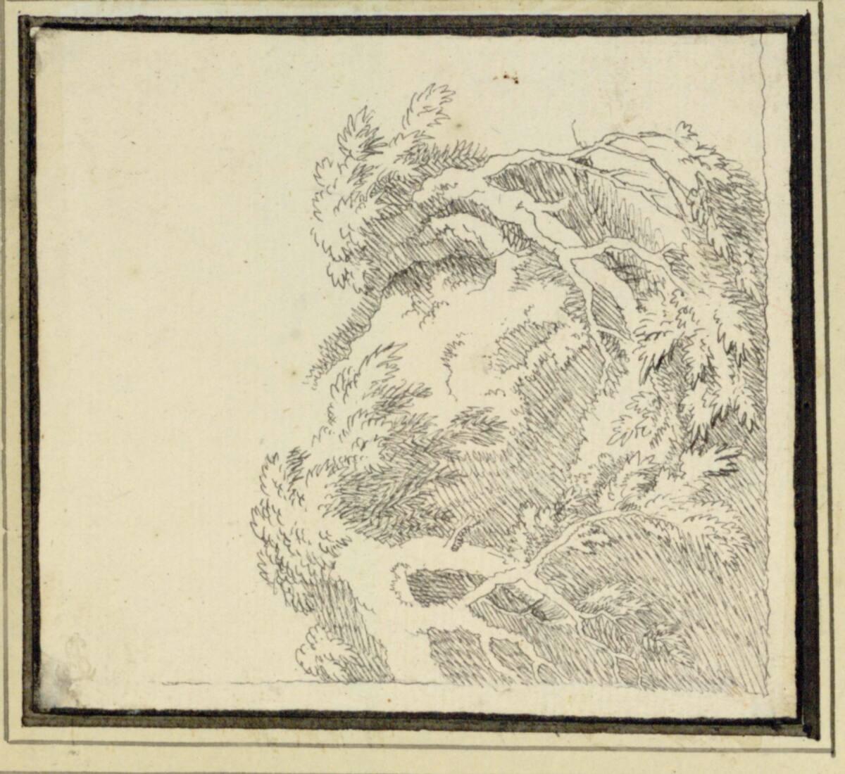 Christian Wilhelm Ernst Dietrich, Baumstudie, Inv. Nr.: 4218