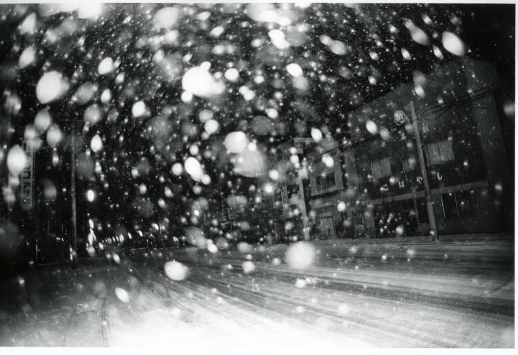 Masahisa Fukase, Bifuka (aus "The Solitude of Ravens"), Inv. Nr.: Foto2004/7